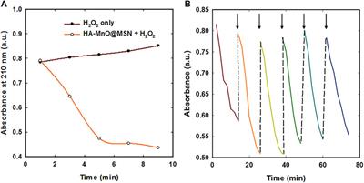 Multimodal Magnetic Resonance and Photoacoustic Imaging of Tumor-Specific Enzyme-Responsive Hybrid Nanoparticles for Oxygen Modulation